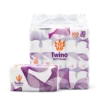 Twino Facial Tissues 100 Sheets 2-Ply 10 Packs